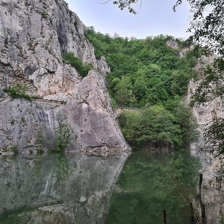 Ribarev San Villa Ovcar Banja Kültér fotó