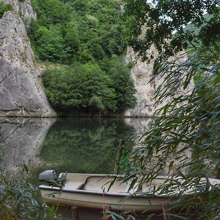 Ribarev San Villa Ovcar Banja Kültér fotó