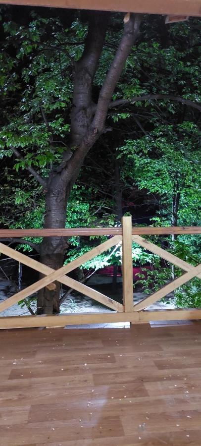 Ribarev San Villa Ovcar Banja Kültér fotó