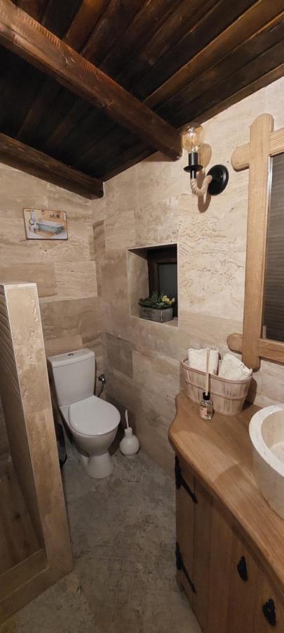 Ribarev San Villa Ovcar Banja Kültér fotó