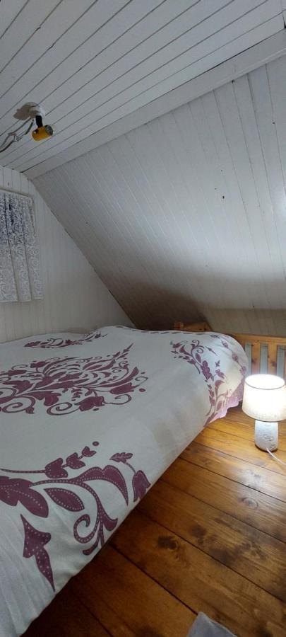 Ribarev San Villa Ovcar Banja Kültér fotó