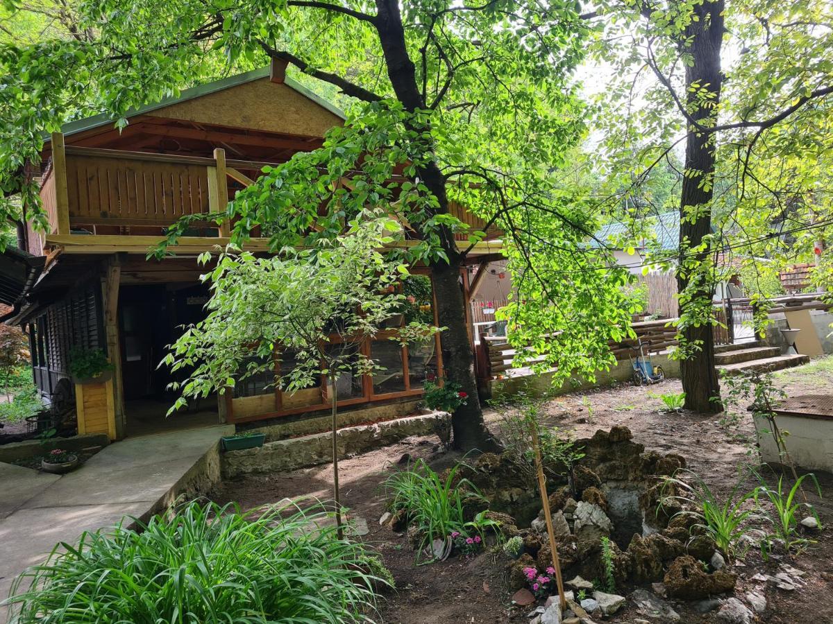 Ribarev San Villa Ovcar Banja Kültér fotó