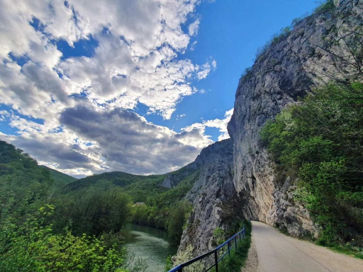 Ribarev San Villa Ovcar Banja Kültér fotó