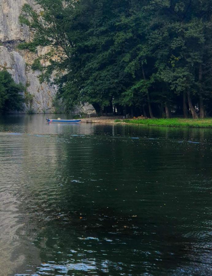 Ribarev San Villa Ovcar Banja Kültér fotó
