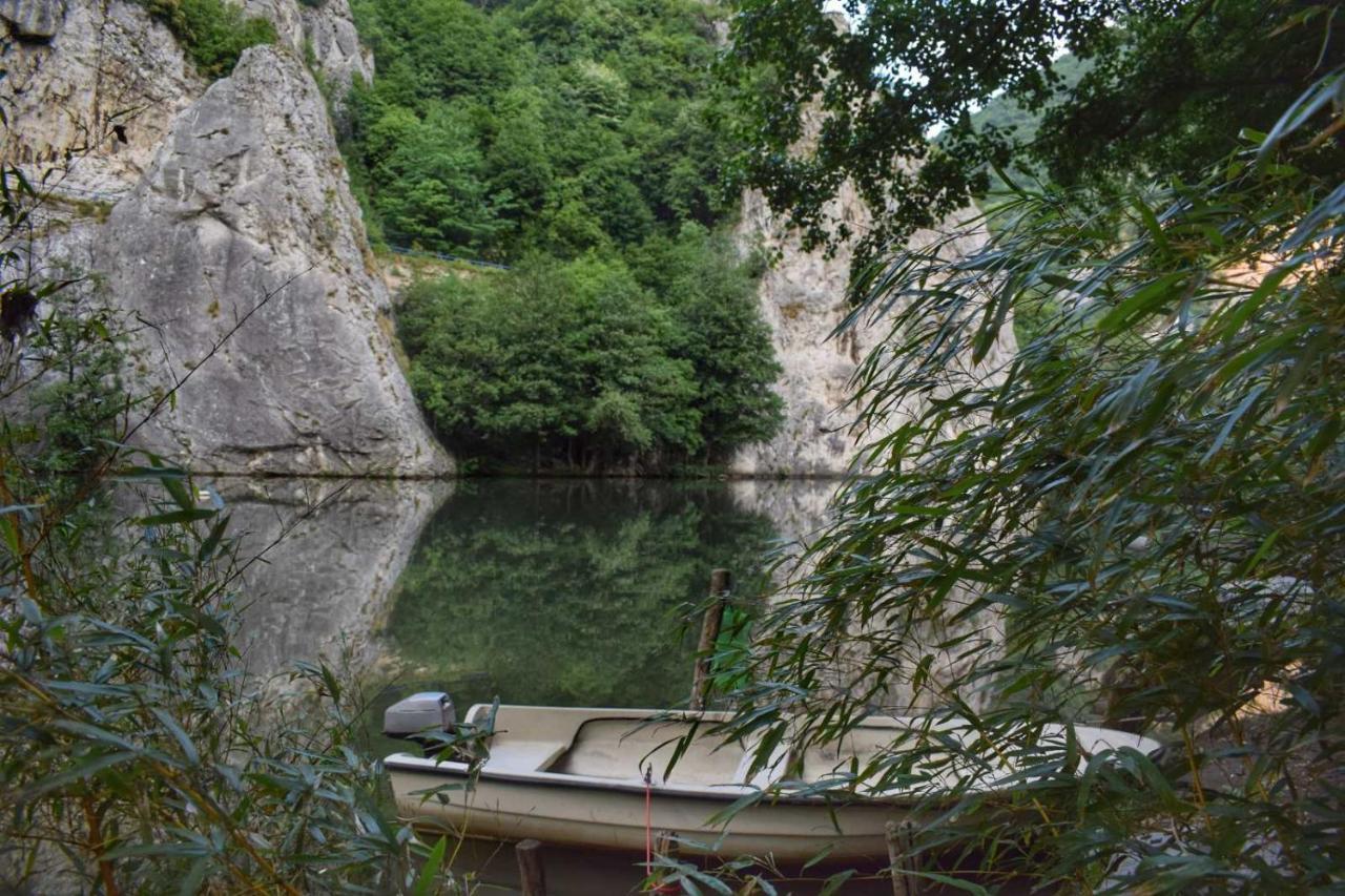 Ribarev San Villa Ovcar Banja Kültér fotó
